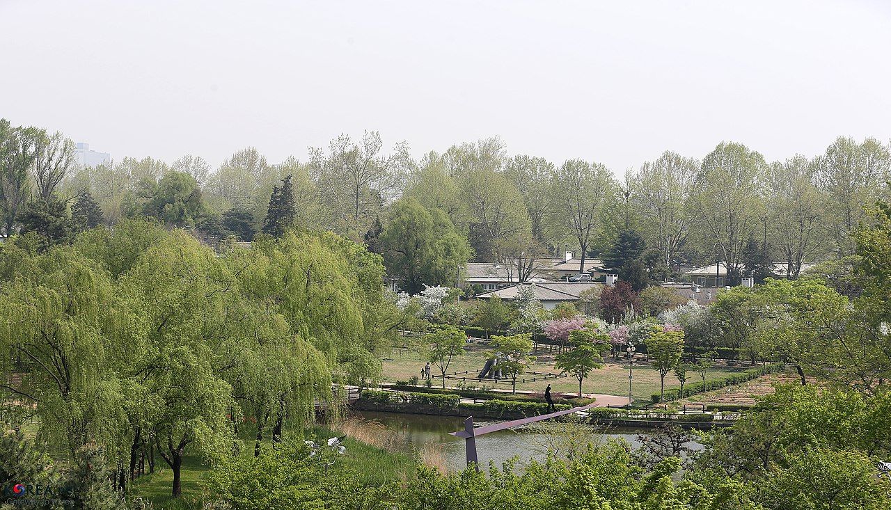 Family Park