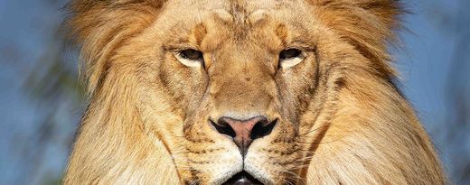 Granby Zoo / Zoo de Granby