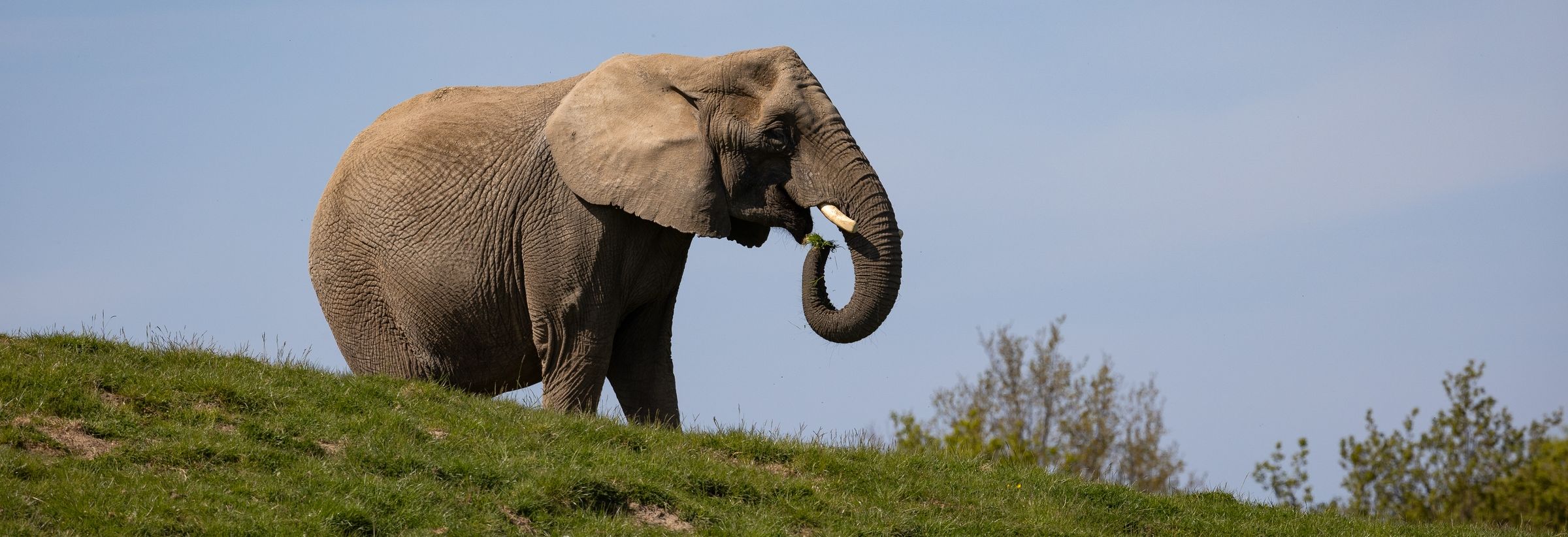 Knuthenborg Safaripark