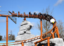 Flying Eagle