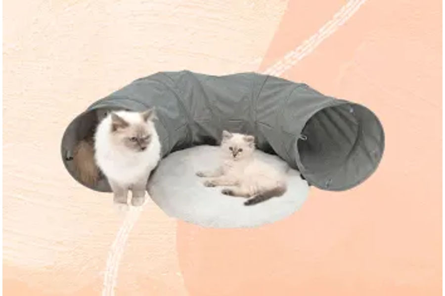 COMPANION GEAR 고양이 숨숨집 2PK