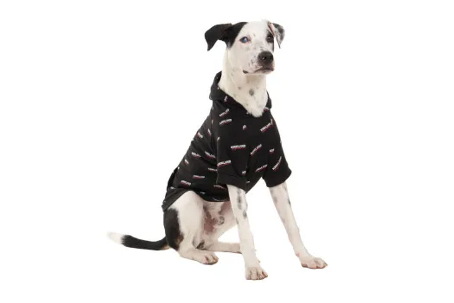 KIRKLAND SIGNATURE 애견용 후드티 S / M / L / XL