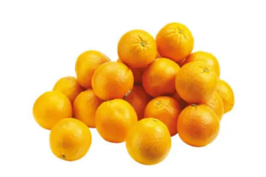 썬키스트 오렌지 (6KG) 원산지 : 미국