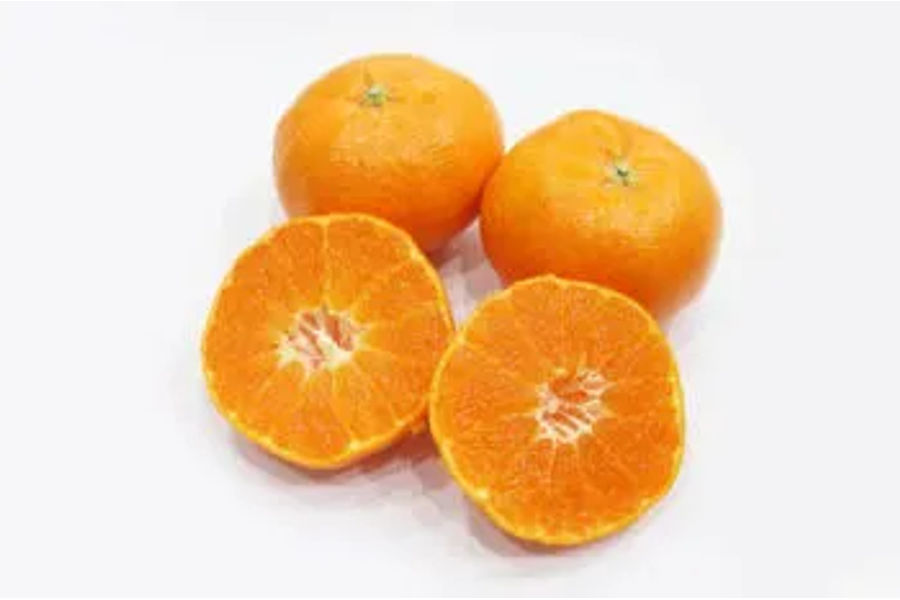 제주 레드향(2.5KG) 원산지:국내산