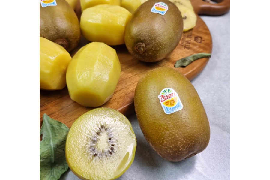 유기농 골드키위 2KG 원산지: 뉴질랜드