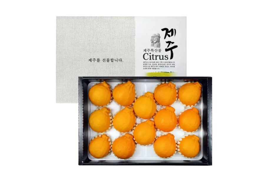 제주 한라봉선물세트 5kg(9~16입)