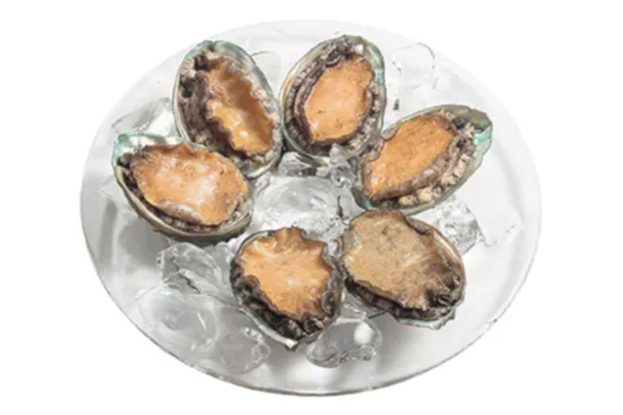 참전복 (양식) 원산지 : 완도 KG당단가