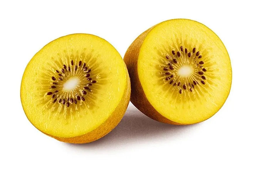 골드키위 (1.6kg이상)