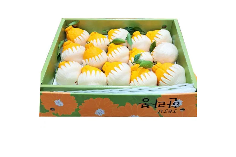 한라봉세트 (특) 5KG 원산지: 국내산