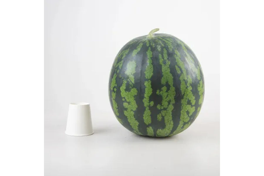 수박 2호 (7KG미만) 원산지: 국내산