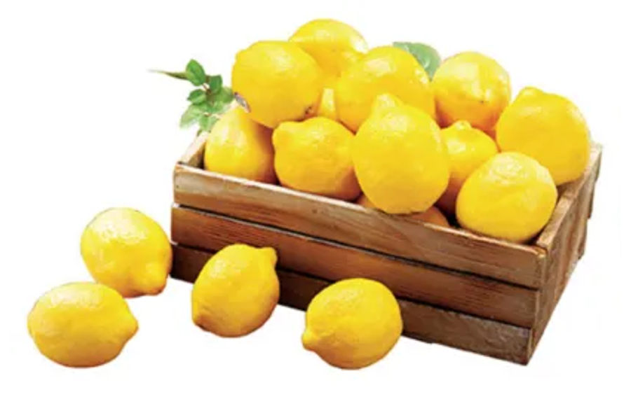 SUNKIST레몬 1봉 (2.2KG이상)