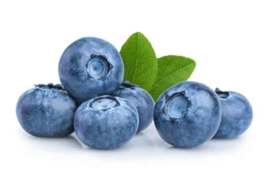 블루베리(500G) 원산지:국내산