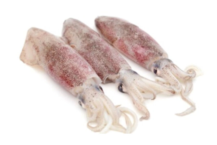 선동오징어 원산지:국산 1KG