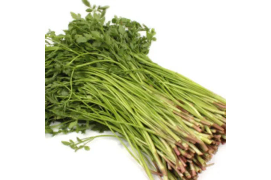 무농약 청도미나리 (500G) 원산지 : 국내산