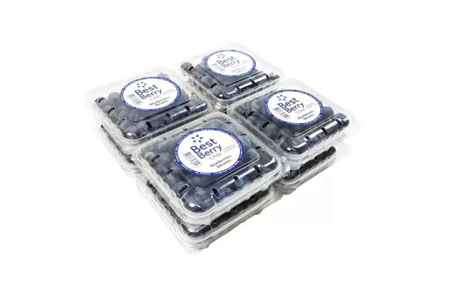 칠레 블루베리 125g x 8팩