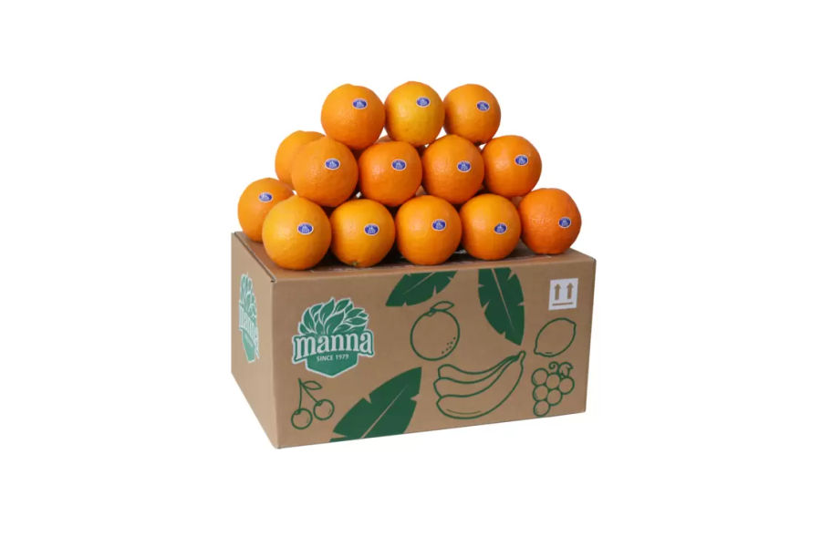 호주네이블오렌지24입(6.3kg내외)