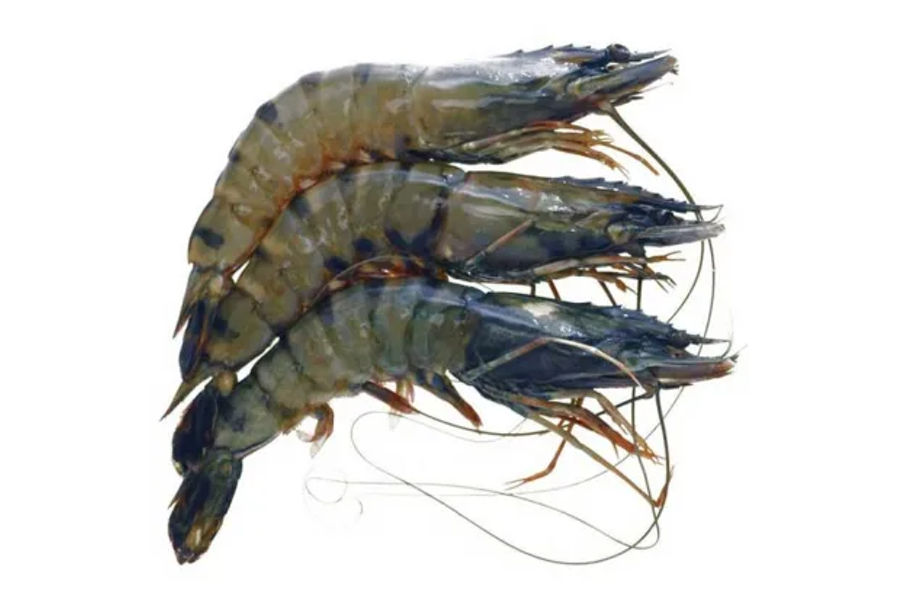 해동 블랙타이거새우 원산지:호주산 KG당단가