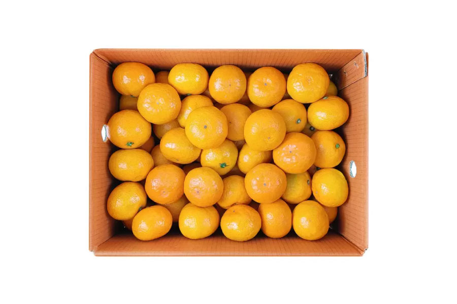 귤림원 타이벡 밀감 5kg