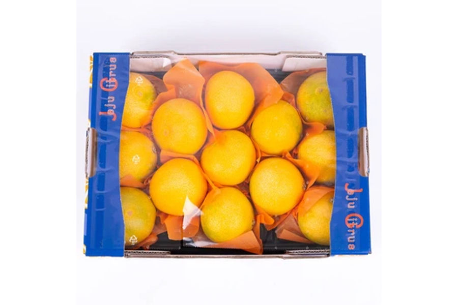 황금향 (3KG) 원산지: 국내산