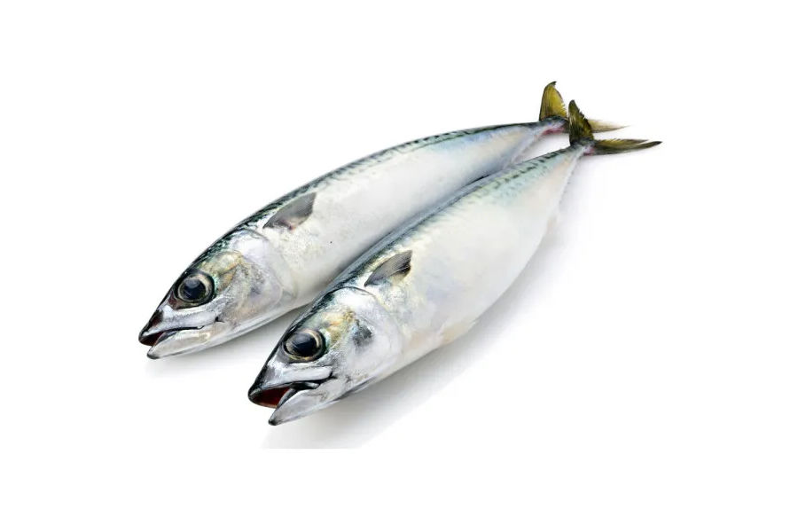 자반고등어 원산지:노르웨이 KG당단가