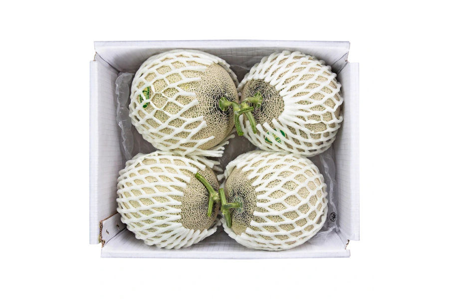 세지메론5kg(3-4입)