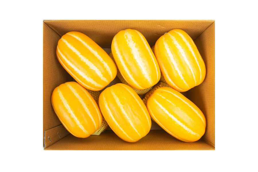 고당도 참외 5kg