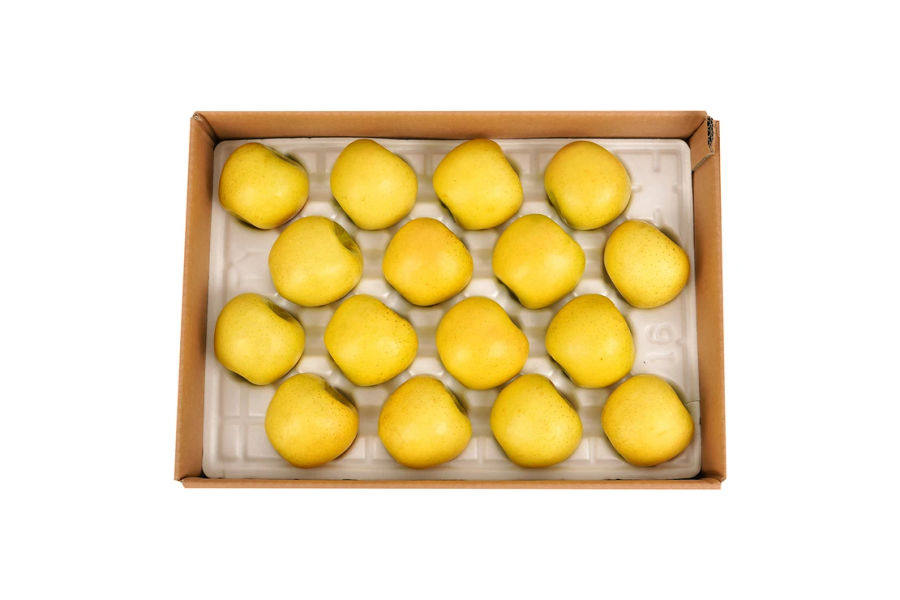 시나노 골드 사과 5kg(13~18입)