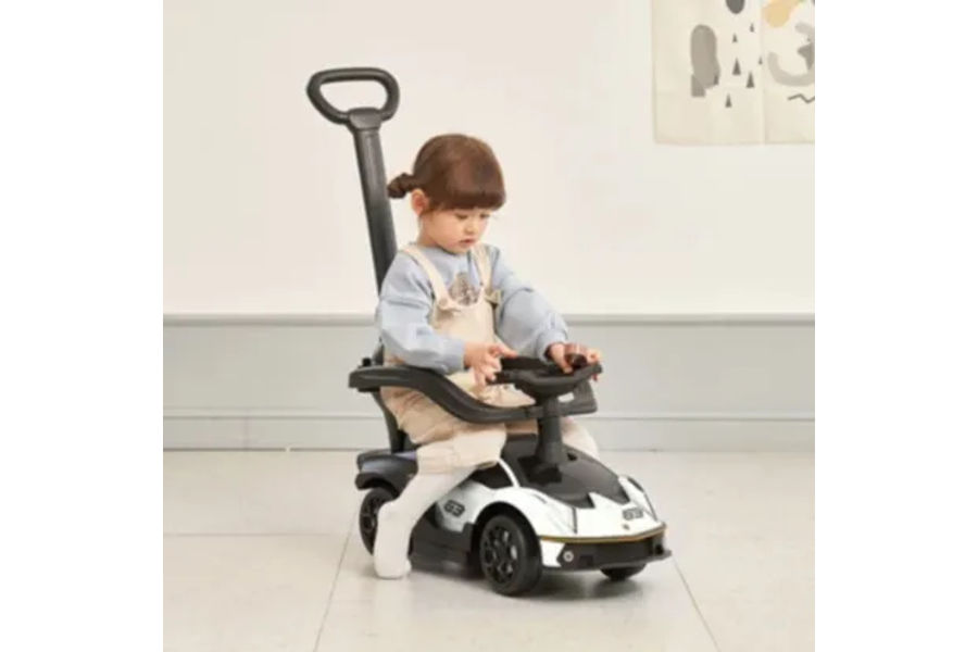 람보르기니 에센자 푸쉬카