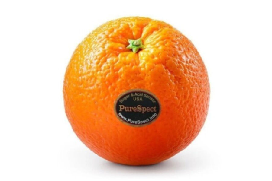 PURESPECT 고당도 오렌지3.5KG 원산지:미국