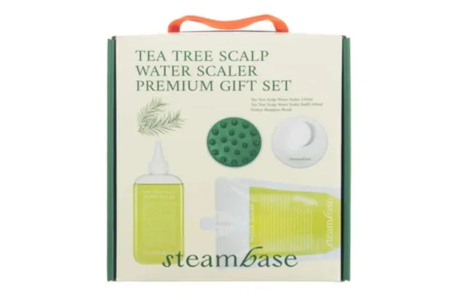 STEAMBASE스팀베이스 스케일러 세트 250ML+500ML+브러쉬