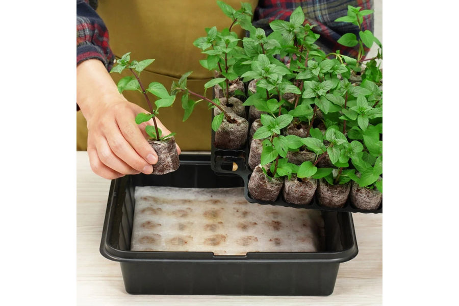 PLANTBEST 자체급수 온실키트 35개 X 2