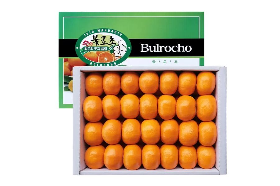 제주 불로초 감귤세트5kg