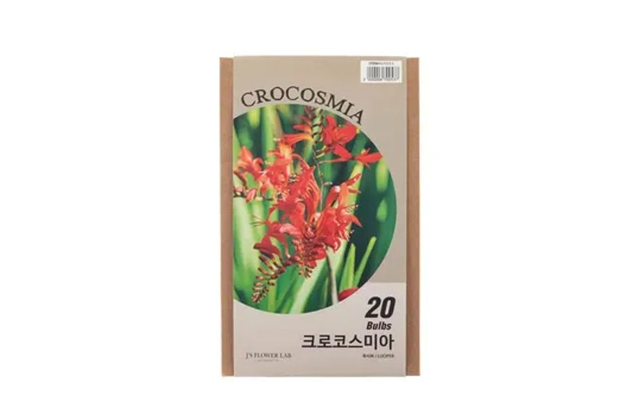 크로코스미아 구근 객상2개중 택1 20개/팩