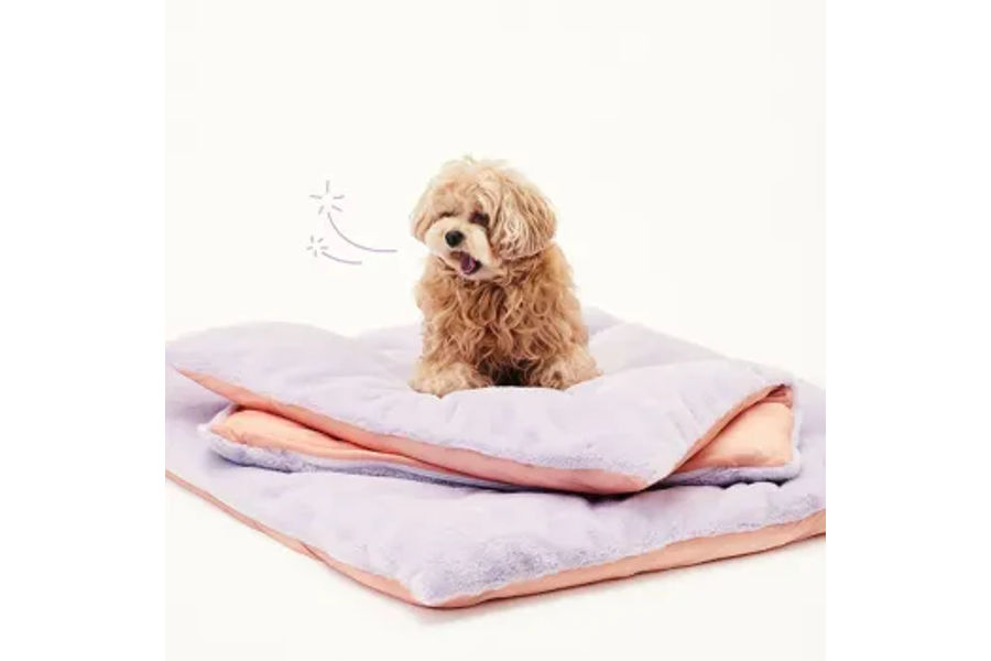 아르르 꿀잠 이불 크림/라벤더 포그