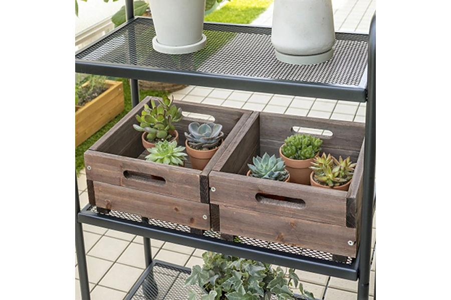 타카쇼 베지테라스 컨테이너 2개