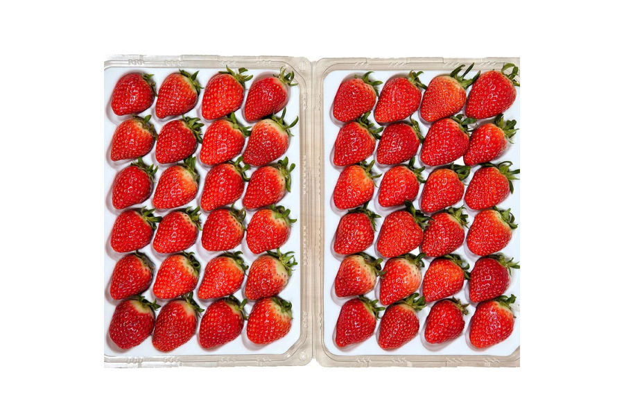 딸기 750g x 2팩
