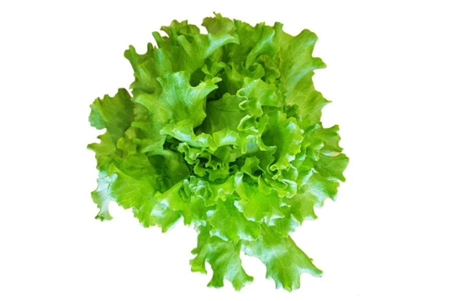 무농약 카이피라300G 원산지:국내산