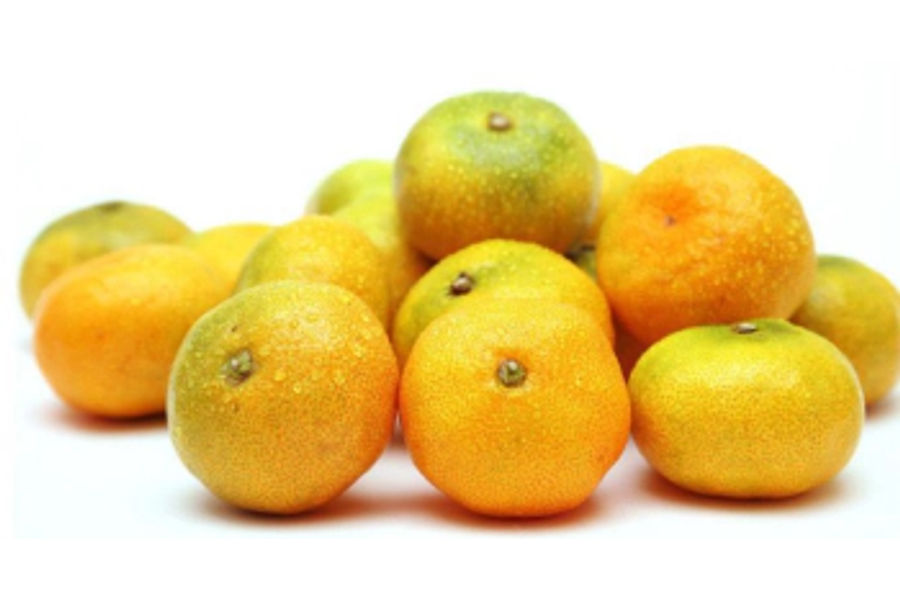 타이벡 밀감(2.5KG) 원산지:국내산