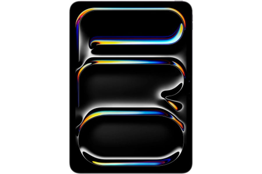 APPLE IPAD PRO11/ 256GB SPACE BLACK/ 1인1개