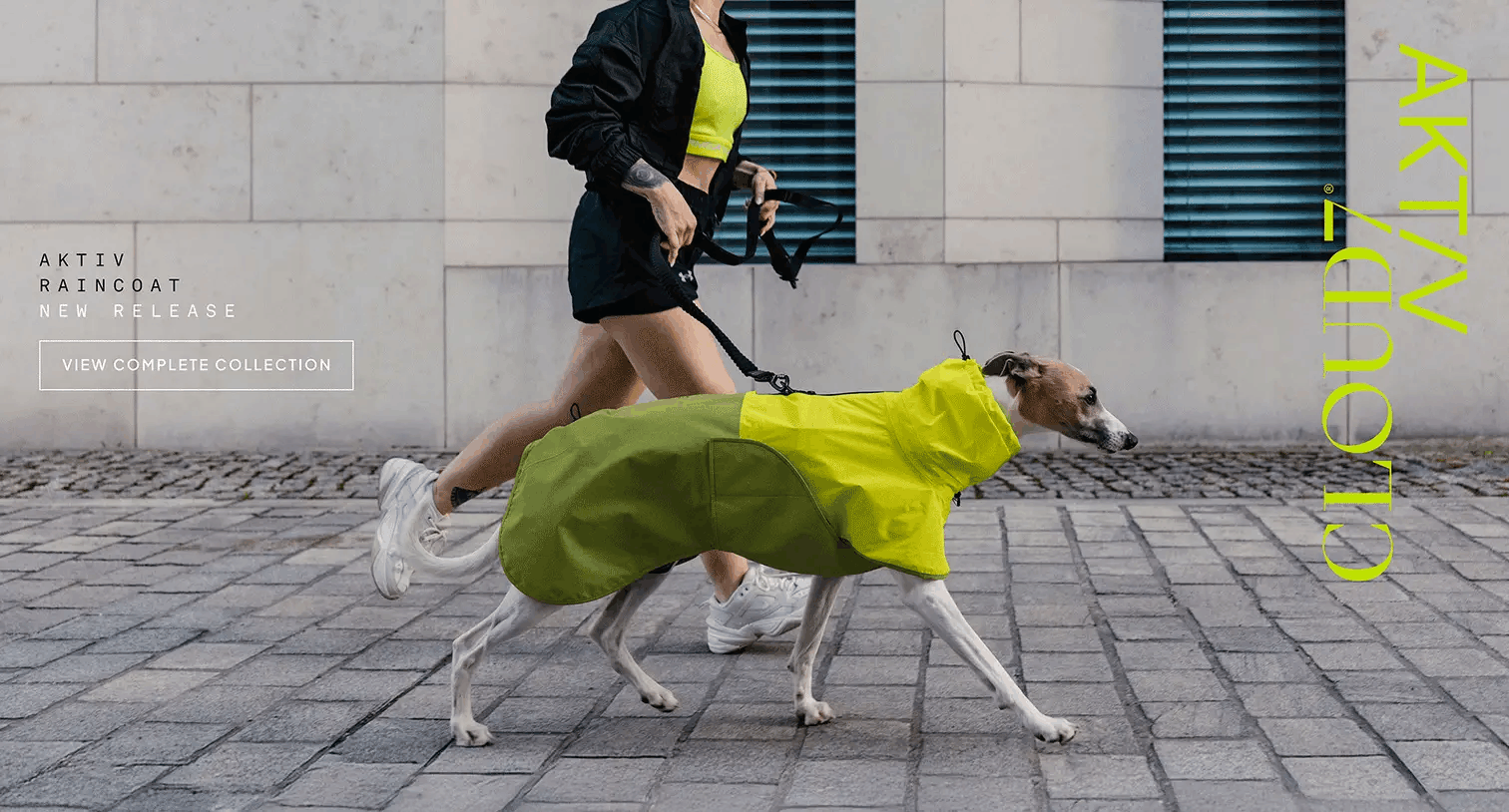 CLOUD7 AKTIV 狗雨衣,穿著螢光黃雨衣散步的靈緹犬