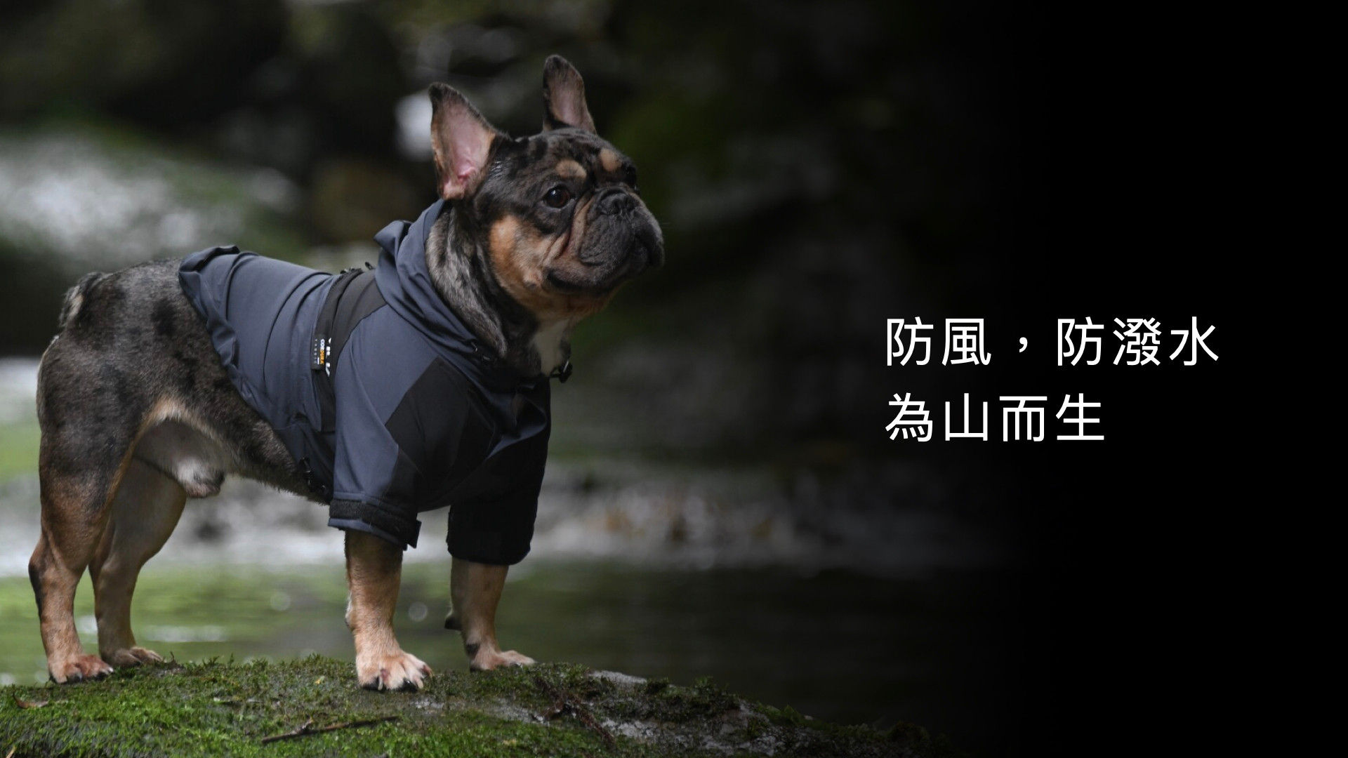 穿著 GEWALK 防風防潑水外套的法鬥