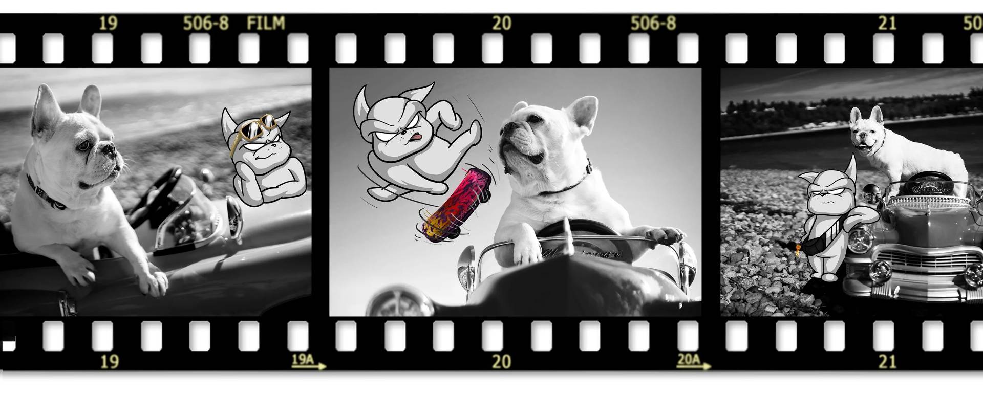 Woof Concept 品牌故事:法鬥 Pedro 的底片插畫
