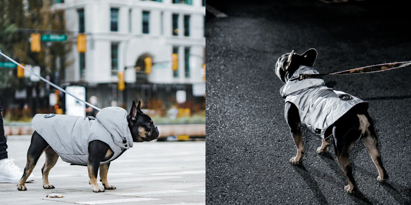 穿著 Woof Concept 反光外套在城市散步的法鬥