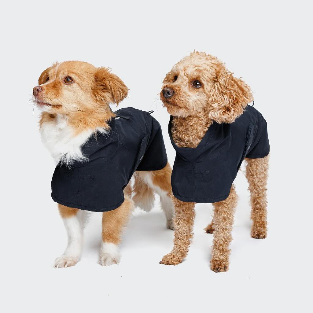 狗雨日防護
