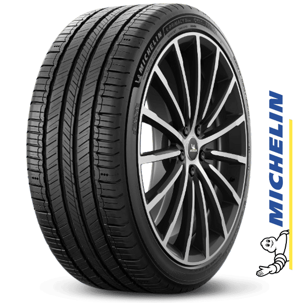 245/50R19 – Michelin E.Primacy – Pneu été