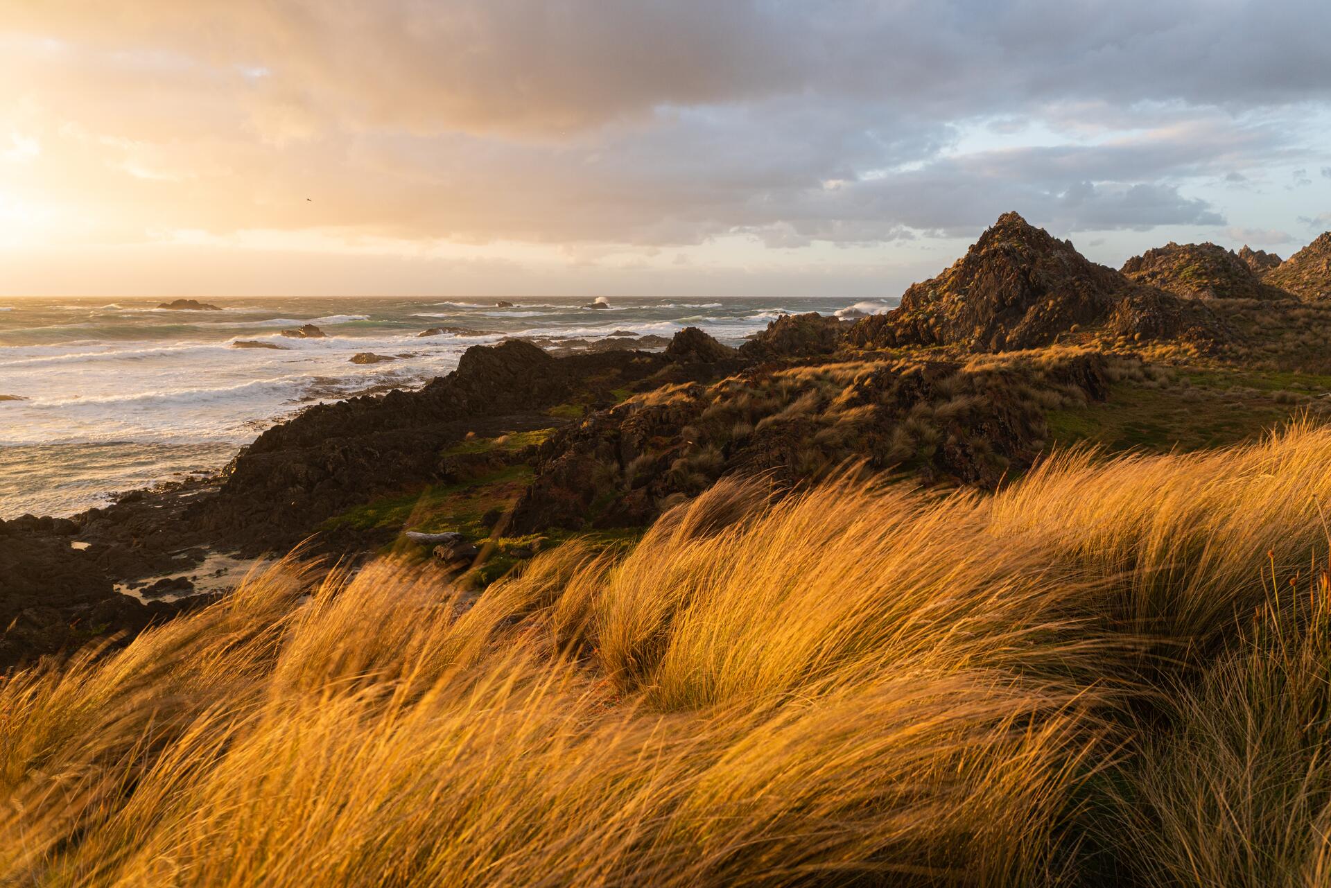 Tasmanian delicacies