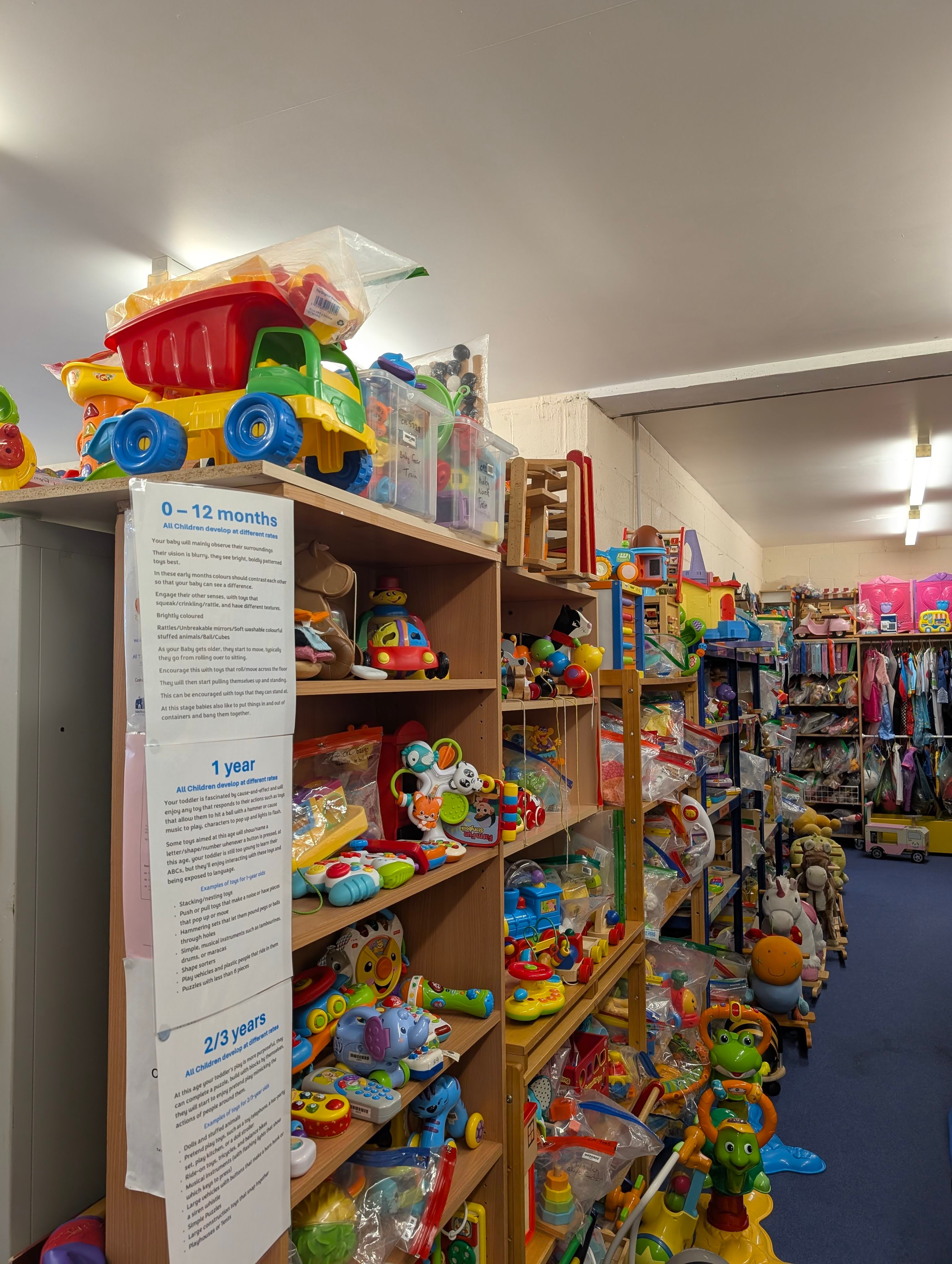 Toy library shelving and play equipment