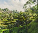 우붓(Ubud)