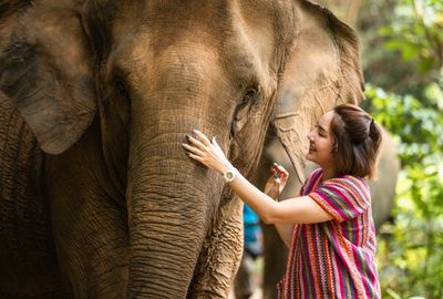 Elephant Care Camp and Cooking Class in Si-Ray Phuket