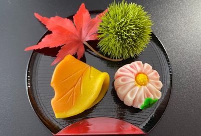 Art of Crafting Traditional Japanese Sweets